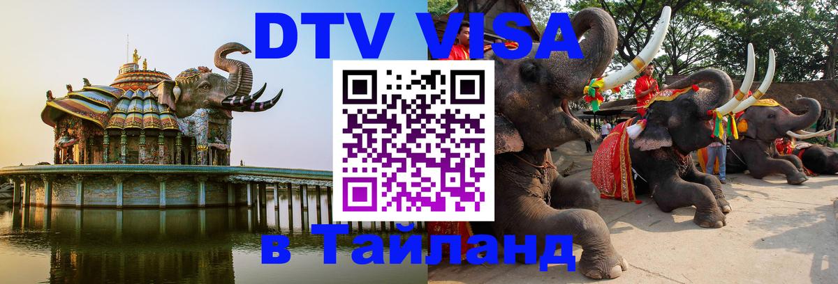 Оформление DTV визы под ключ: стоимость и тарифы, только загранпаспорт - Златоуст 